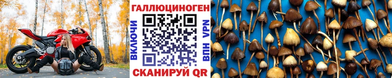 Псилоцибиновые грибы ЛСД  мега как зайти  мориарти клад  Торопец 